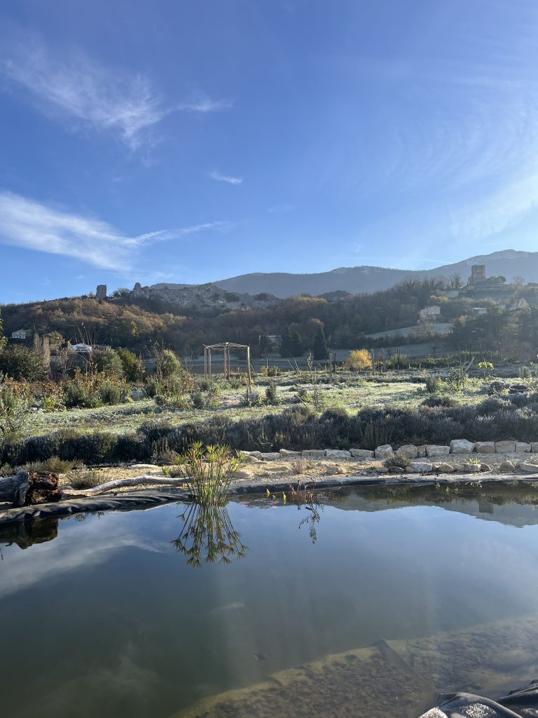 Grande mare déjà riche en biodiversité