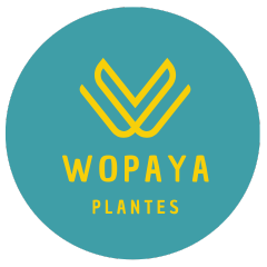 Logo Wopaya