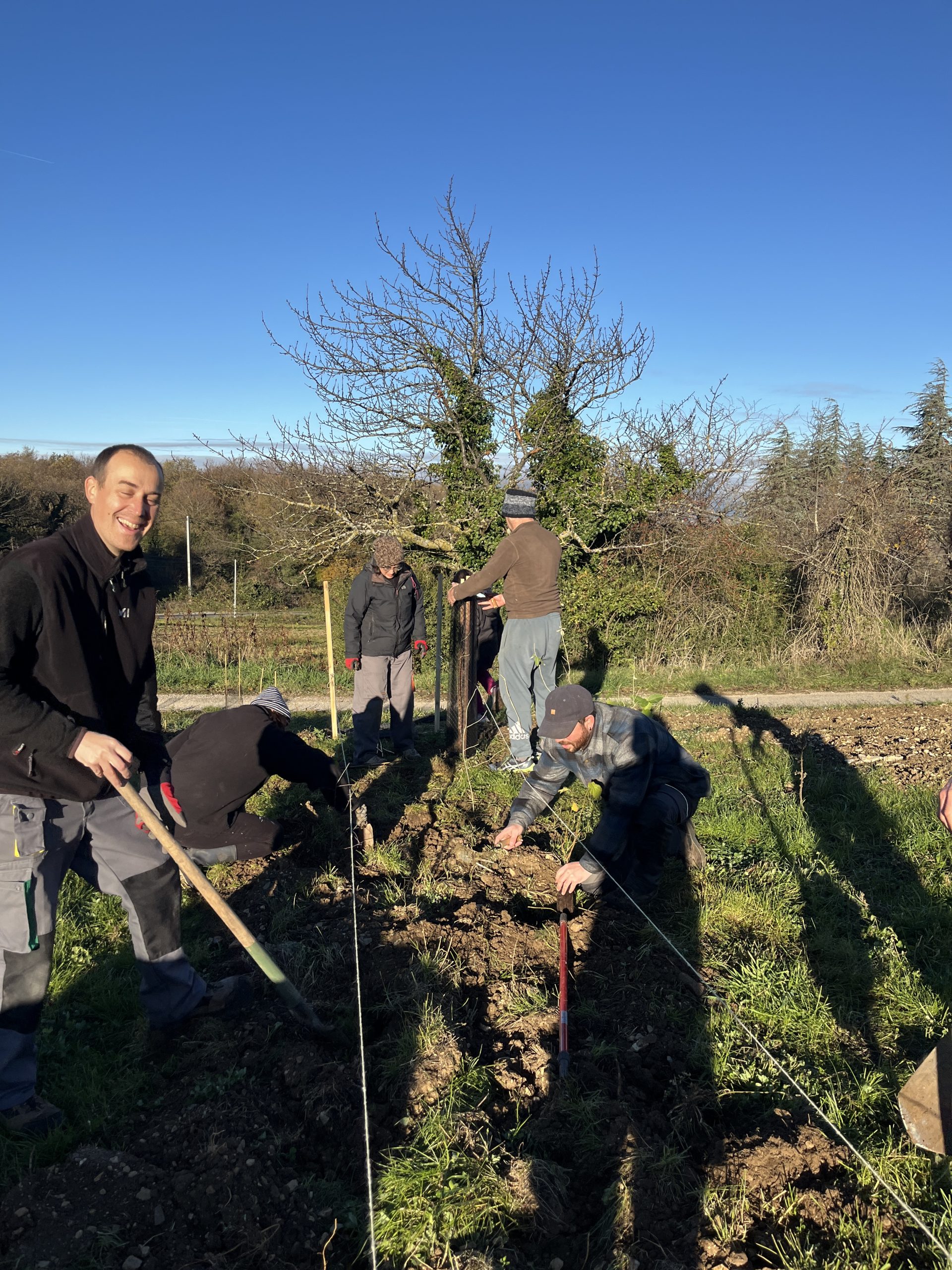 Plantation de haie biodiversité à Wopaya🌱